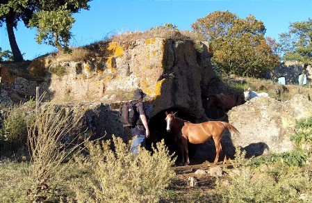 Cavalli a macchiagrande