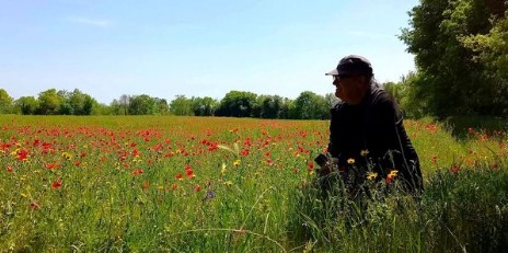 Pianoro di Musarna in fiore