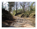 Monte Tuscolo, Strada epoca romana